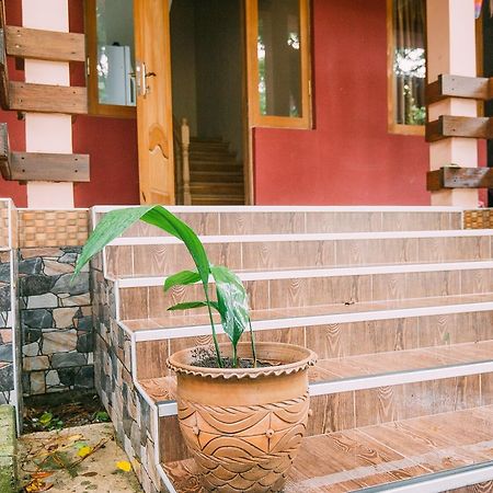 Hotel Forest Fairy Shekhvetili Exterior photo