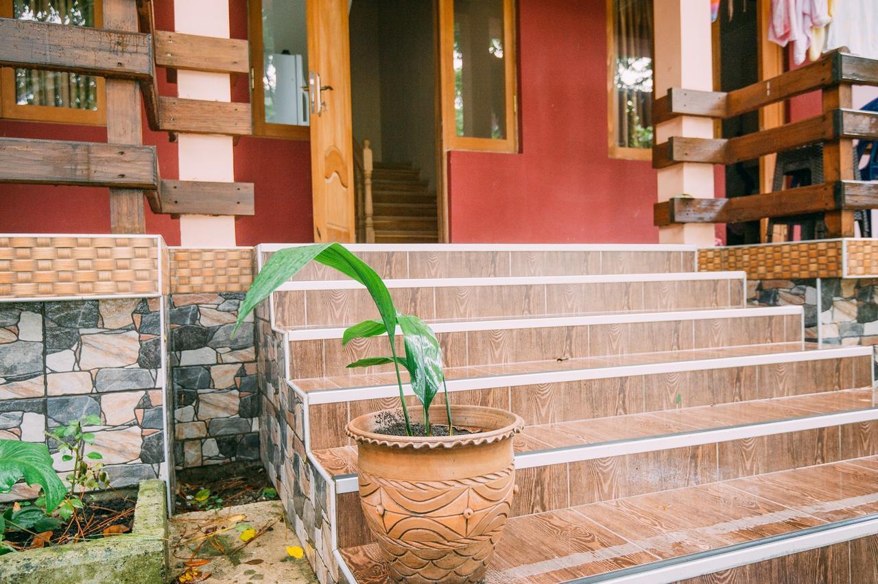 Hotel Forest Fairy Shekhvetili Exterior photo