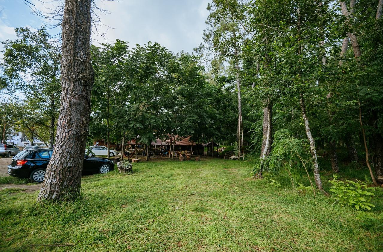 Hotel Forest Fairy Shekhvetili Exterior photo
